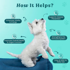 Doggie Herbs étiquette détaillée indiquant ingrédients TCM et tests en laboratoire