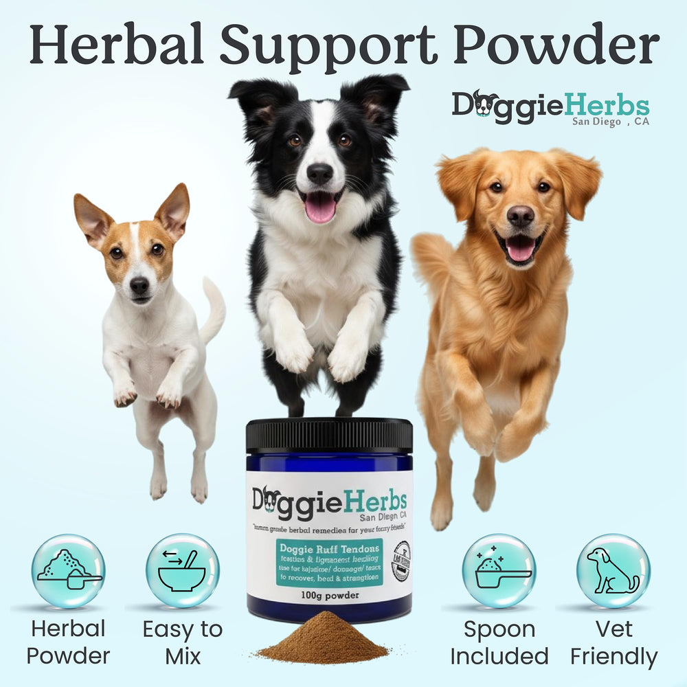 Doggie Herbs poudre texture gros plan qui illustre concentration et pureté