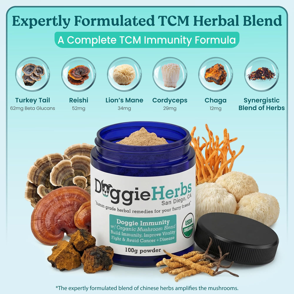 Doggie Herbs poudre mélangée dans nourriture pour meilleure appétence du chien