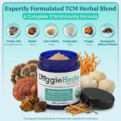 Doggie Herbs poudre mélangée dans nourriture pour meilleure appétence du chien