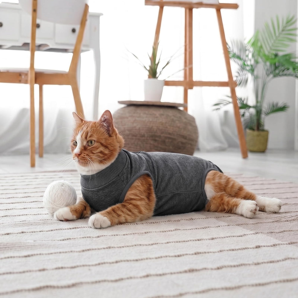 DoggieKit comparaison taille avec main humaine, guide d'ajustement précis