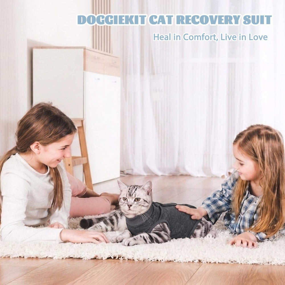 DoggieKit encolure réglable, maintien personnalisé et anti-fuite