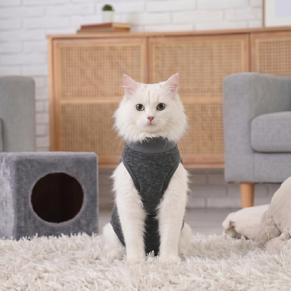 DoggieKit bretelles larges ajustables, tenue stable sans glisser