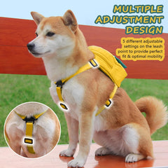 DoggieKit poche arrière zippée ouverte montrant espace de rangement
