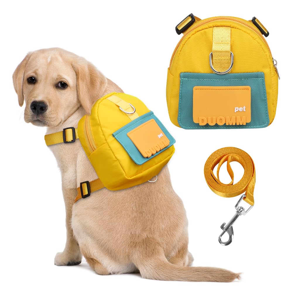 DoggieKit vue avant du harnais-sac montrant design et sécurité