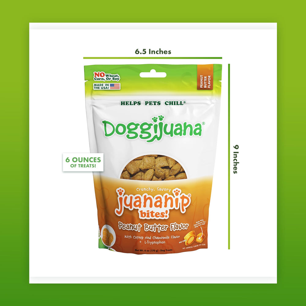 Doggijuana chiot recevant friandise, favorise apprentissage serein
