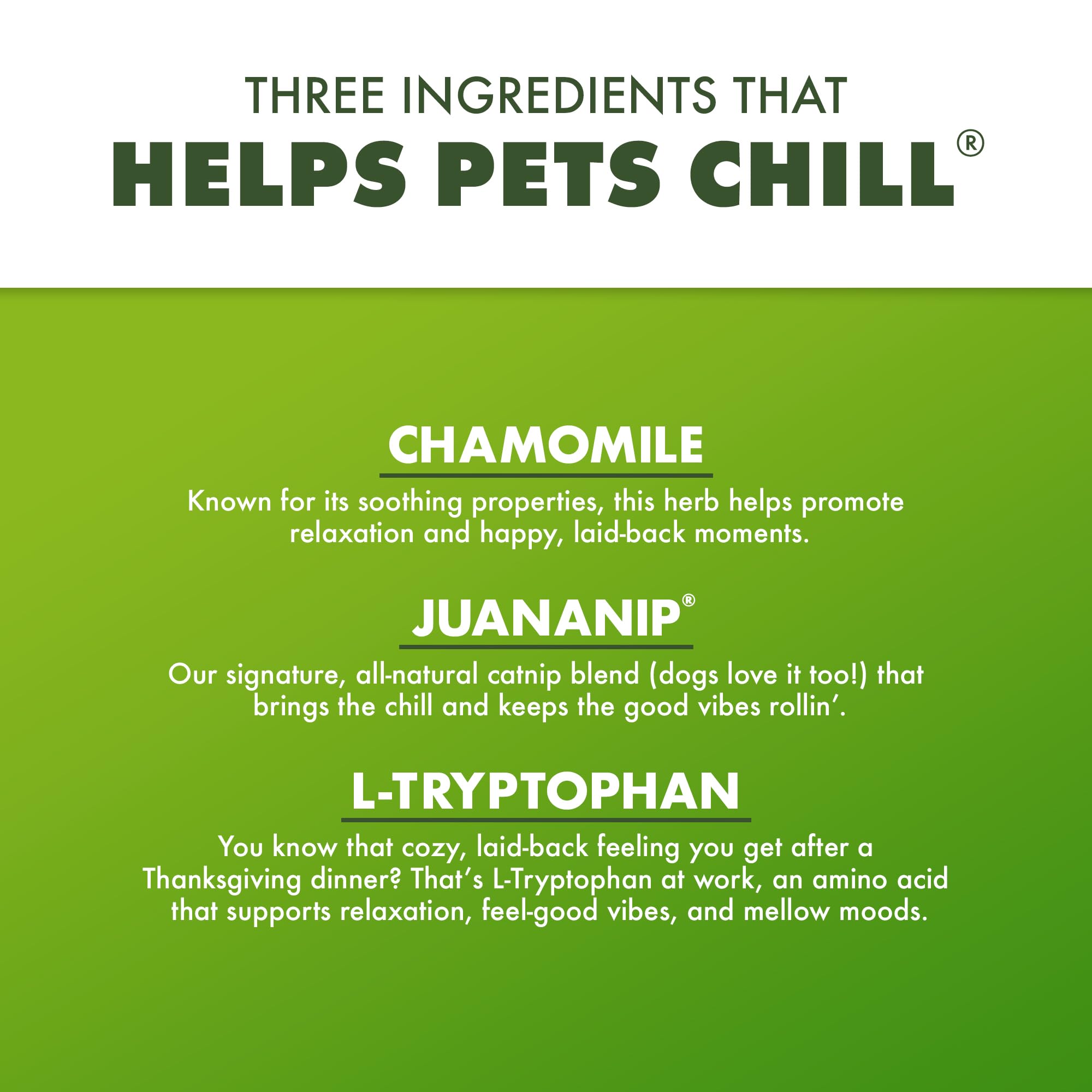 Doggijuana comparaison taille avec main pour portionnement adapté