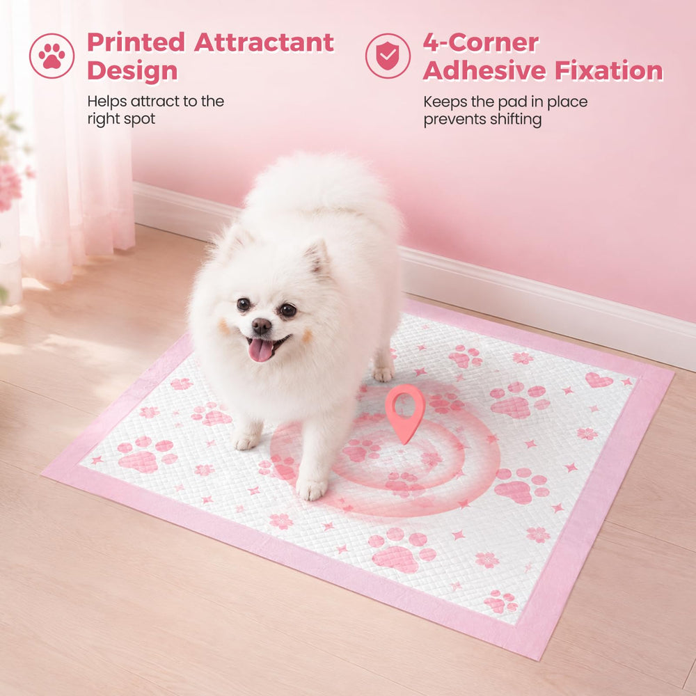 DOGGO DOUG pile de 100 tapis, réserve économique pour plusieurs usages