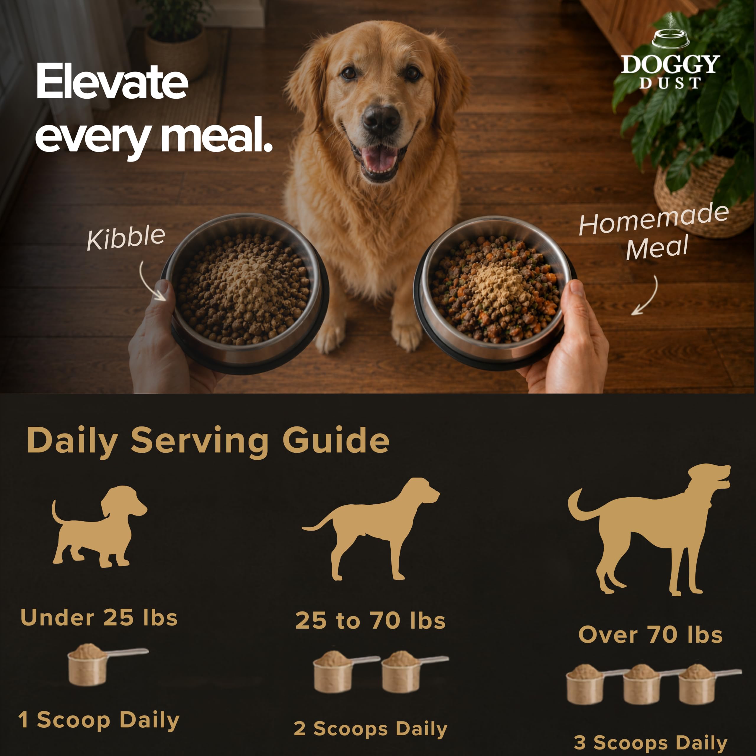 DoggyDust chien mange gamelle montrant appétence améliorée