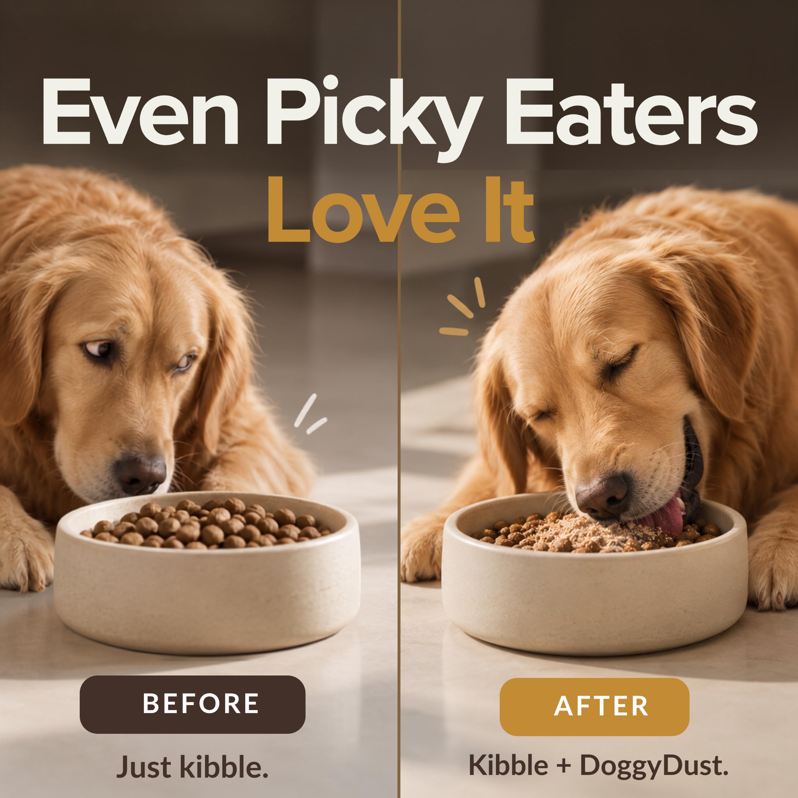 DoggyDust cuillère dans gamelle illustrant dosage simple quotidien