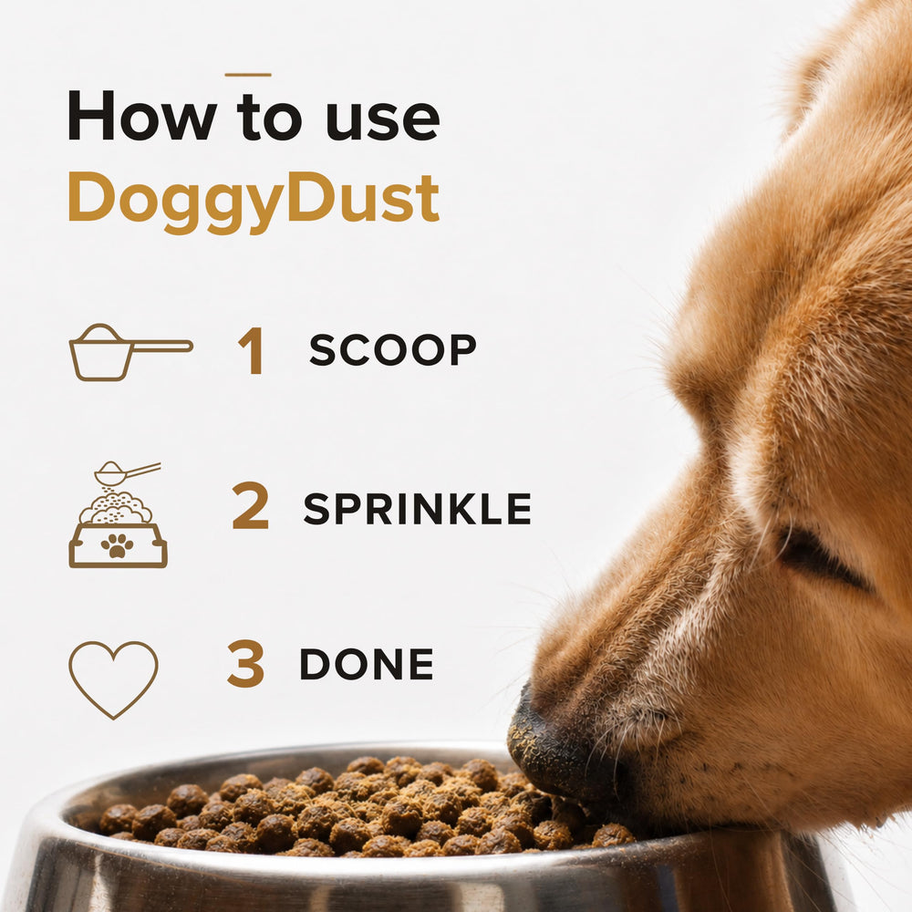 DoggyDust échelle taille avec cuillère montrant portion pratique