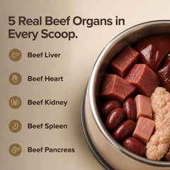 DoggyDust étiquette zoom ingrédients pour transparence et confiance