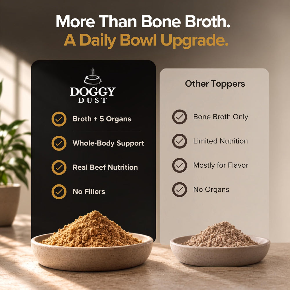 DoggyDust ingrédients entiers exposés affichant sourcing naturel