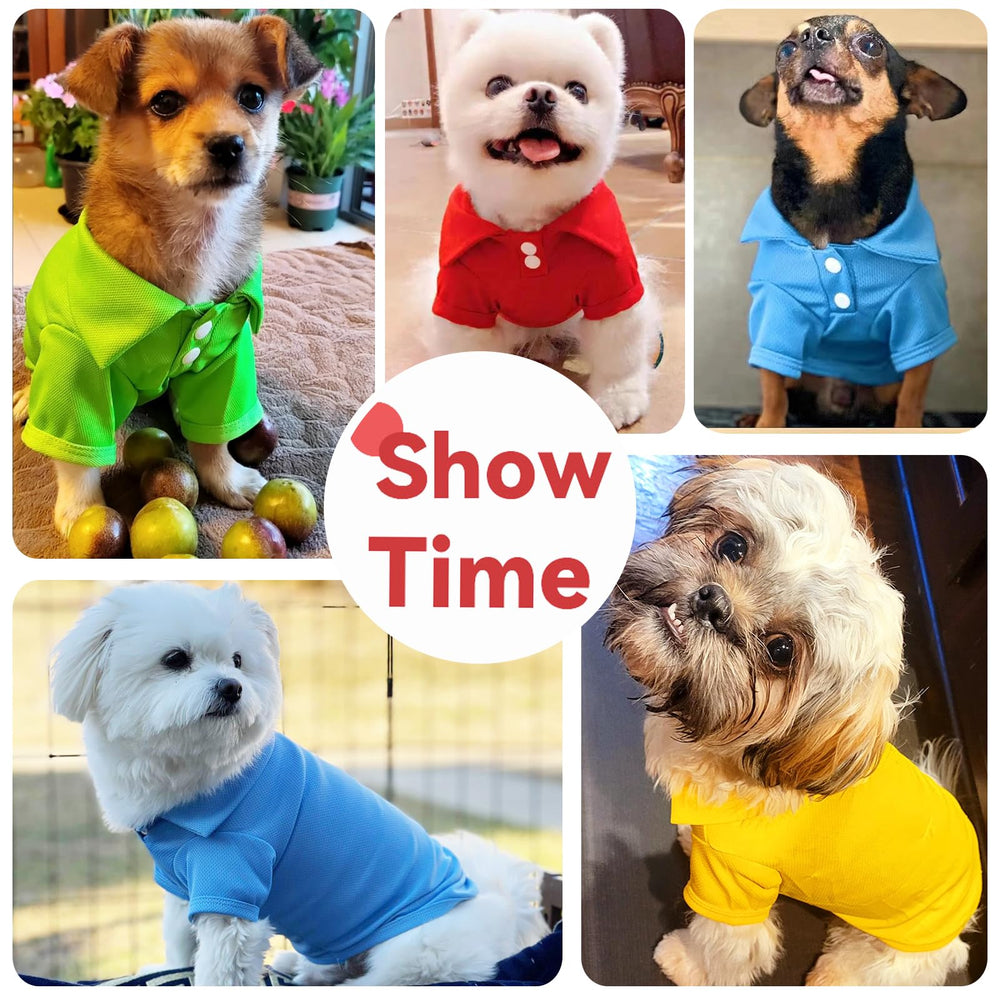 DOGGYZSTYLE look de vie animal en polo pour photos et sorties