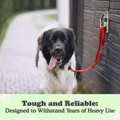 Doghook Canine Hitch attaché à la laisse dans jardin, sécurité extérieure