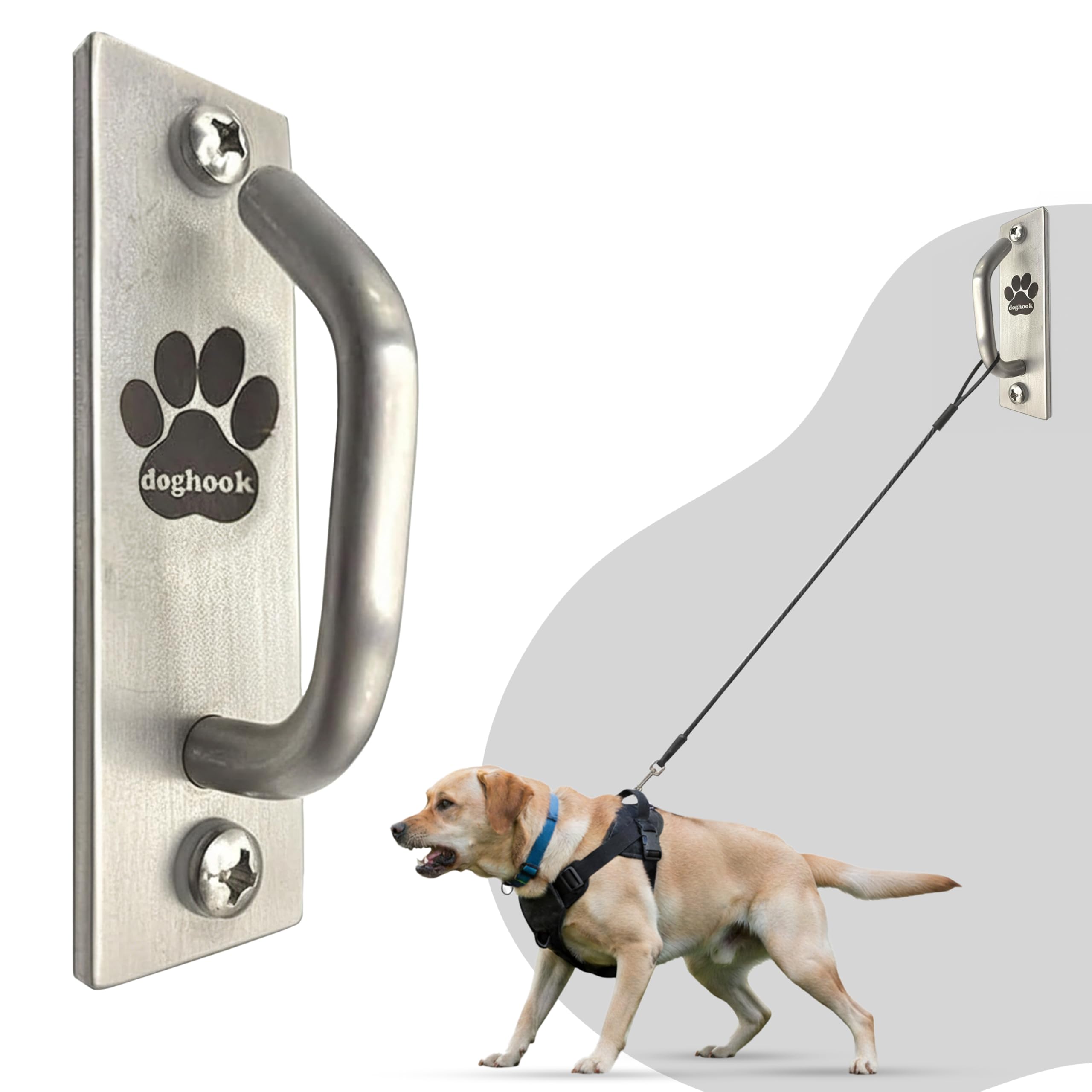 Doghook Canine Hitch installé dans commerce, gestion professionnelle des laisses