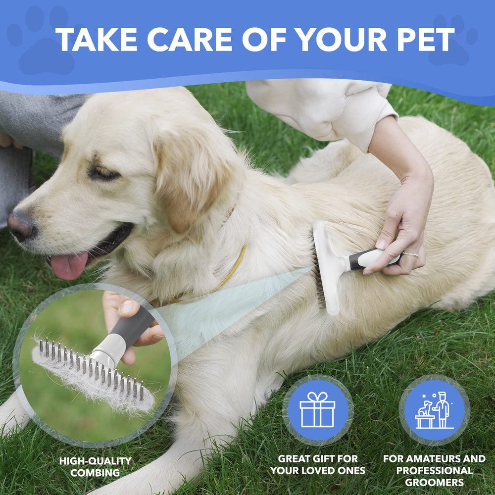 DOGI en salon lifestyle illustrant toilettage domestique facilité