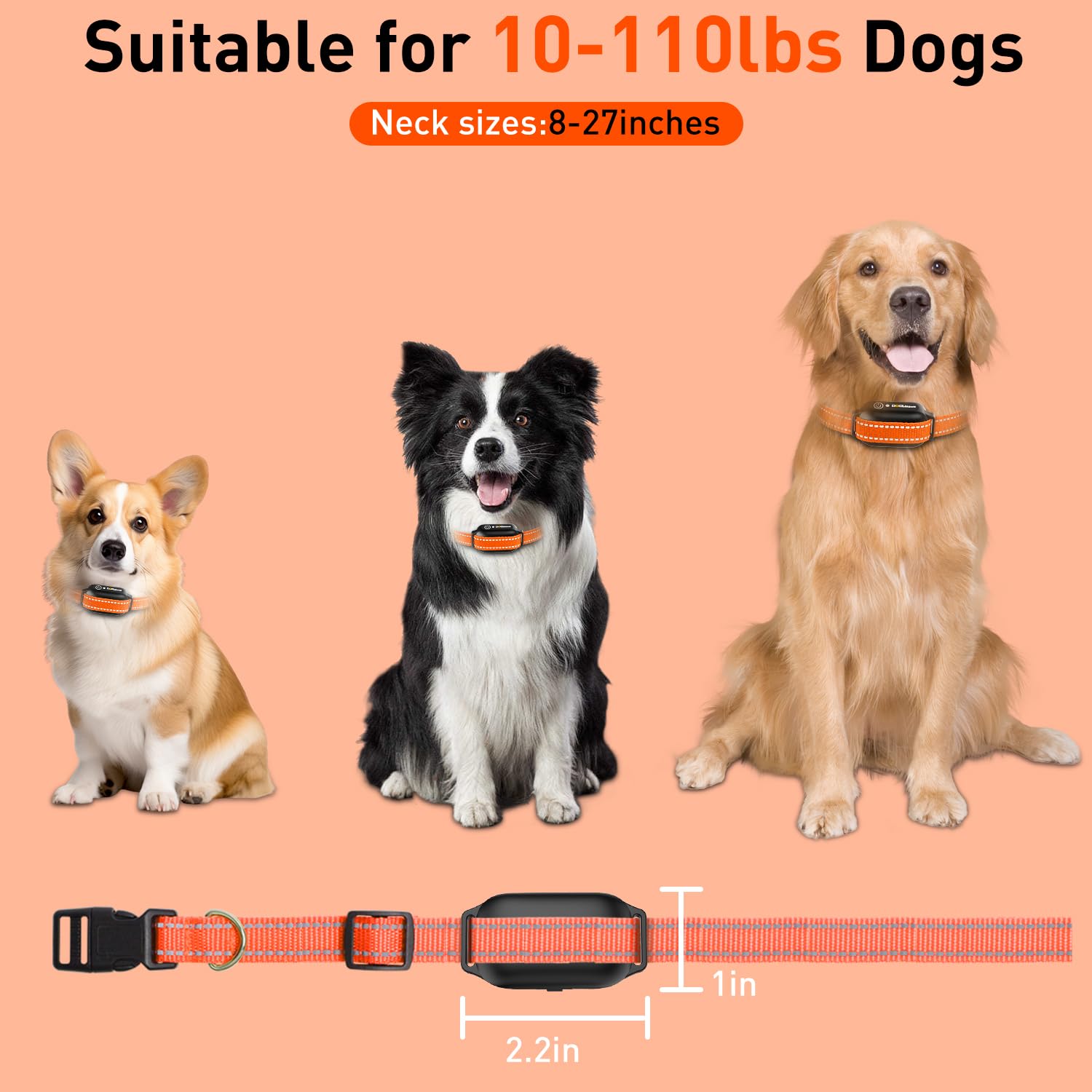 DOGLinsen antenne amovible montrée en place pour portée étendue
