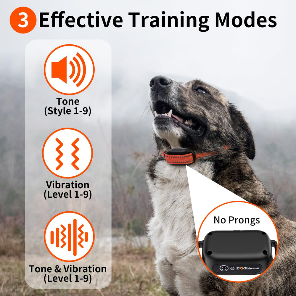 DOGLinsen récepteur gros plan sur pavé vibration pour confort animal