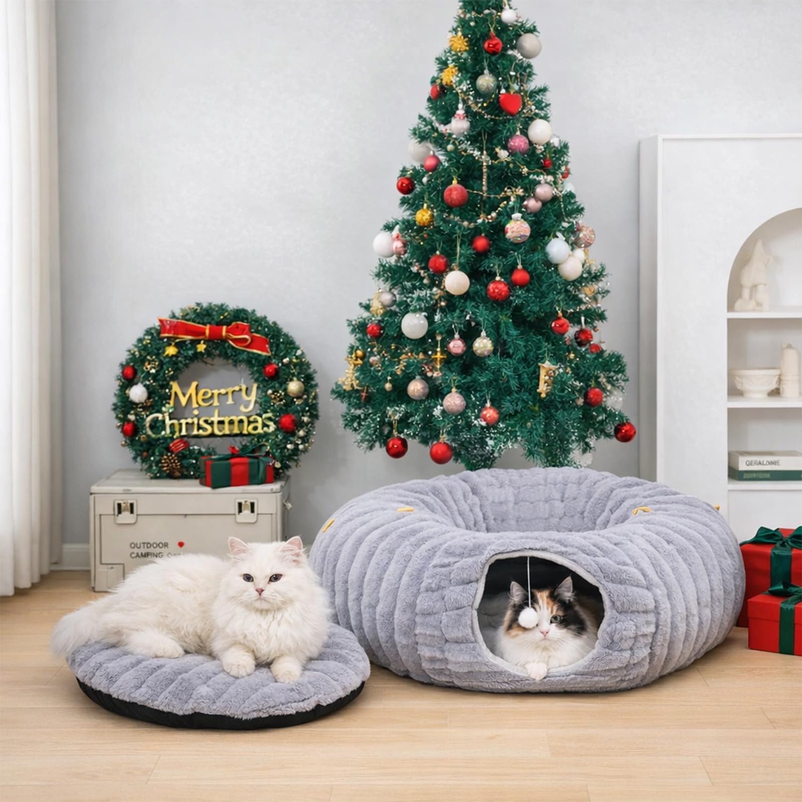 Dogpals comparaison taille avec règle montrant adaptation aux chats