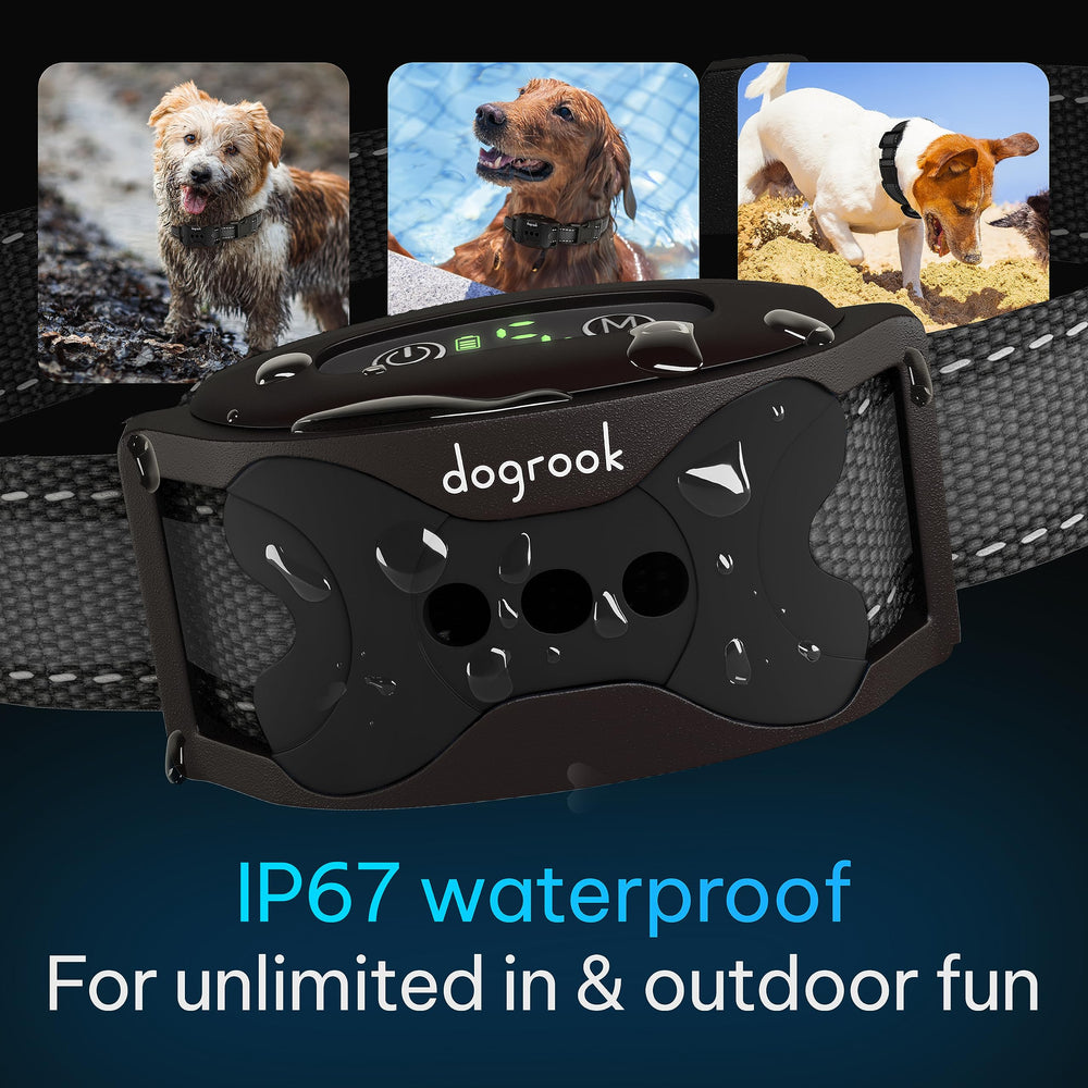 DogRook packaging et accessoires incluant câble USB et manuel pratique
