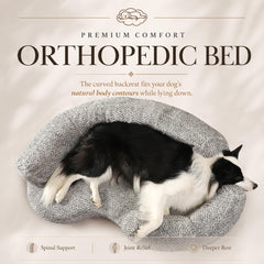 DogTender coupe du noyau mousse mémoire soutien orthopédique