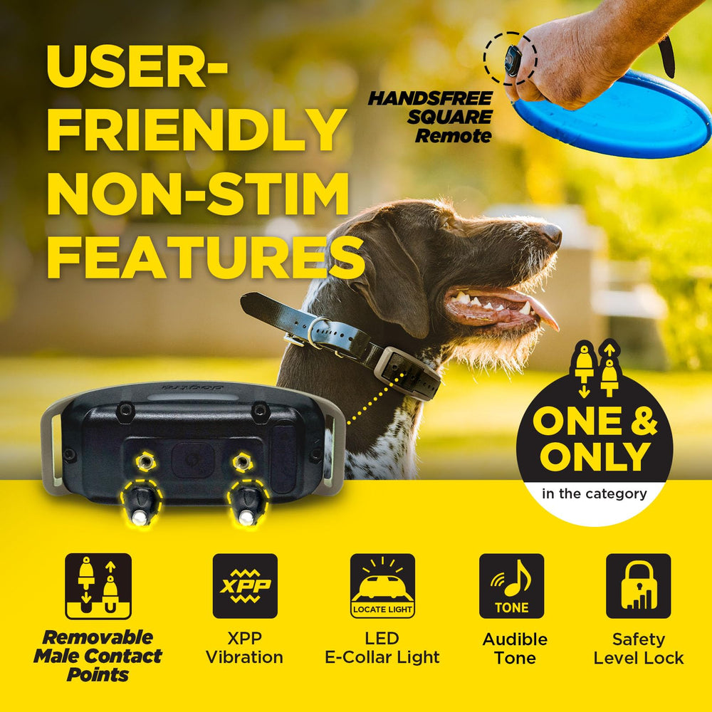 Dogtra 1900X boîtier avec étiquette IPX9K pour durabilité