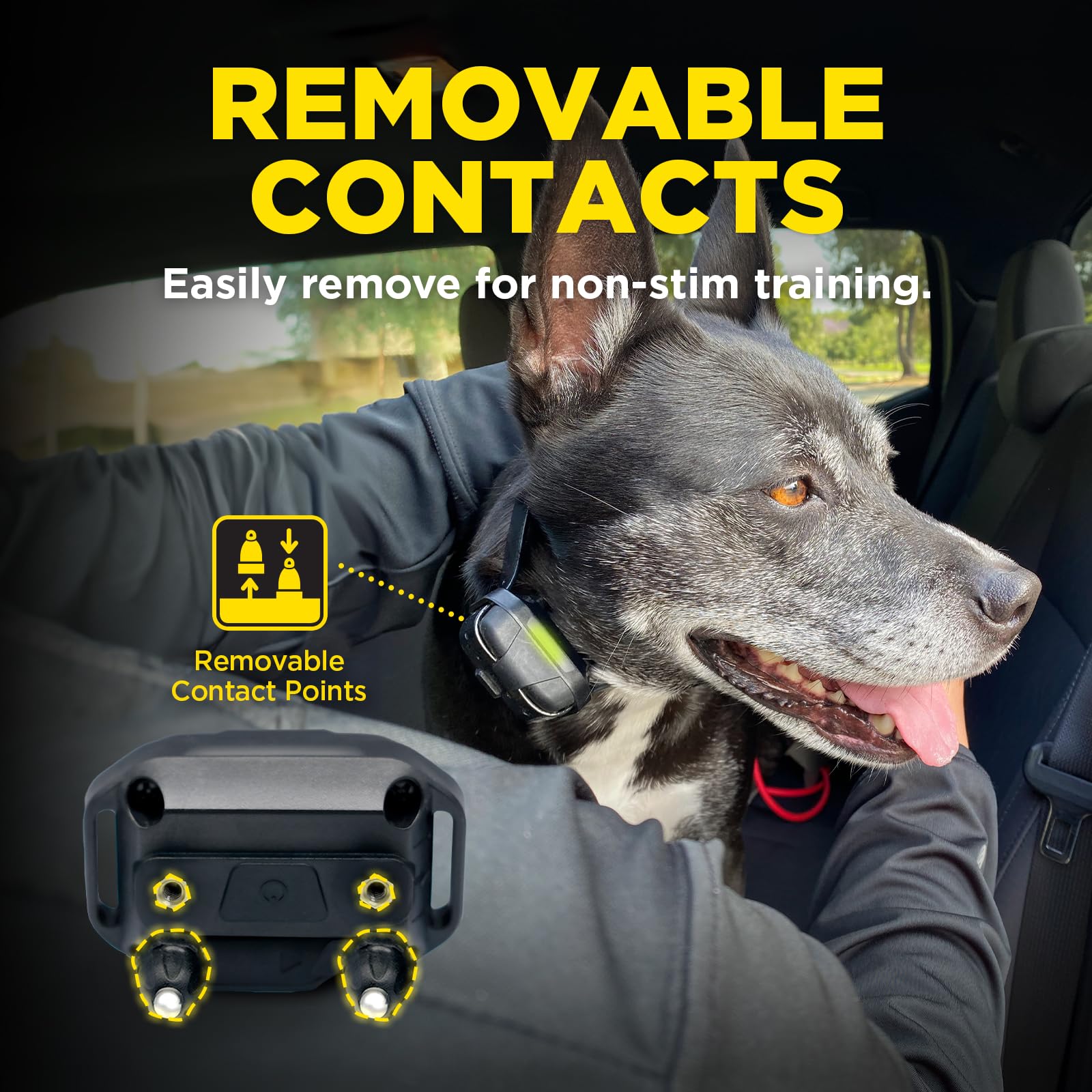 Dogtra récepteur à l’échelle montrant taille pour chiens 45 lb+ et ajustement