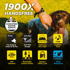 Dogtra 1900X gros plan des électrodes garantissant contact précis