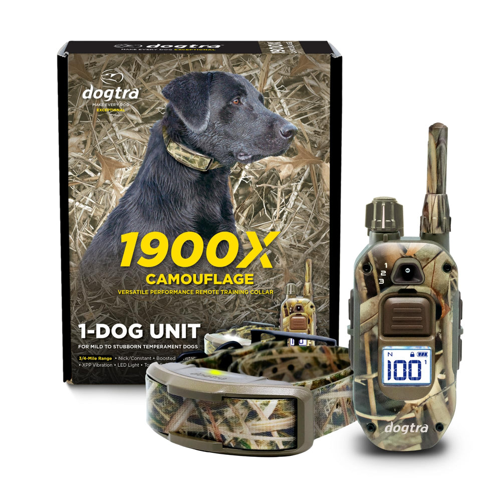 Dogtra emballage avant montrant contenu et caractéristiques pour décision d'achat