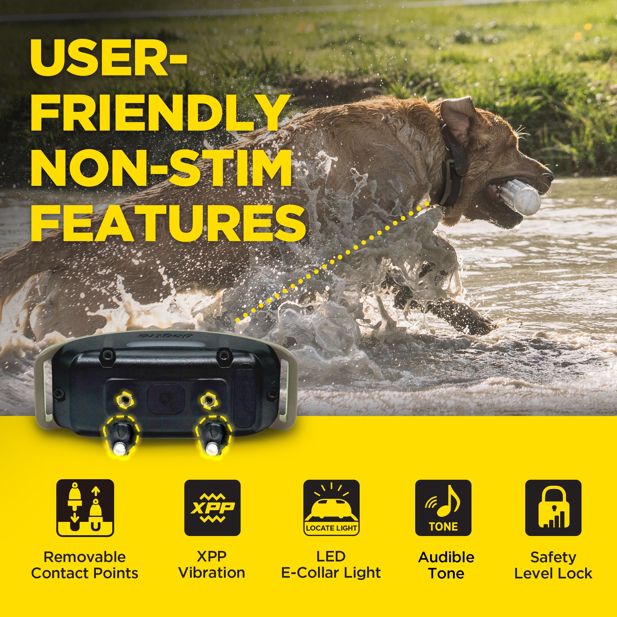 Dogtra LED visible sur le récepteur améliorant repérage nocturne du chien