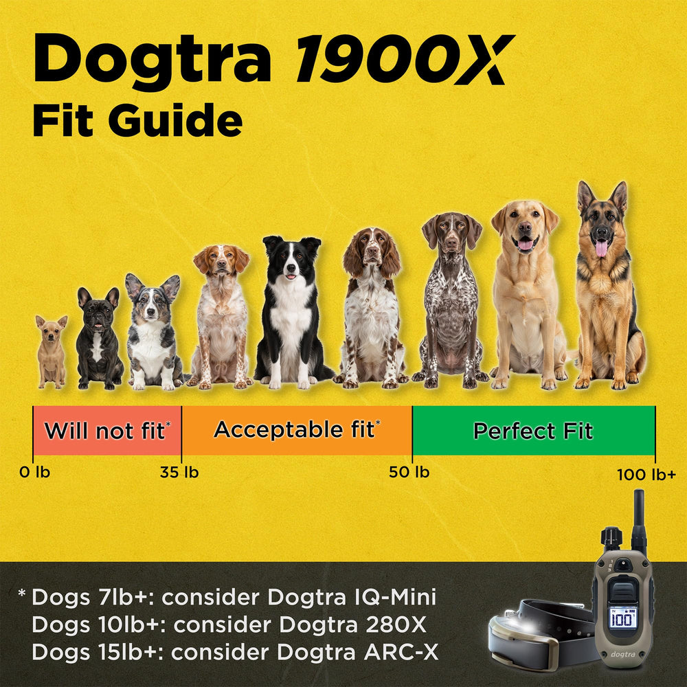 Dogtra 1900X télécommande mains libres en usage pour meilleure liberté