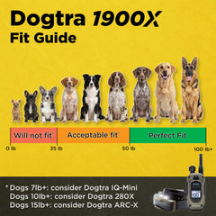 Dogtra 1900X télécommande mains libres en usage pour meilleure liberté