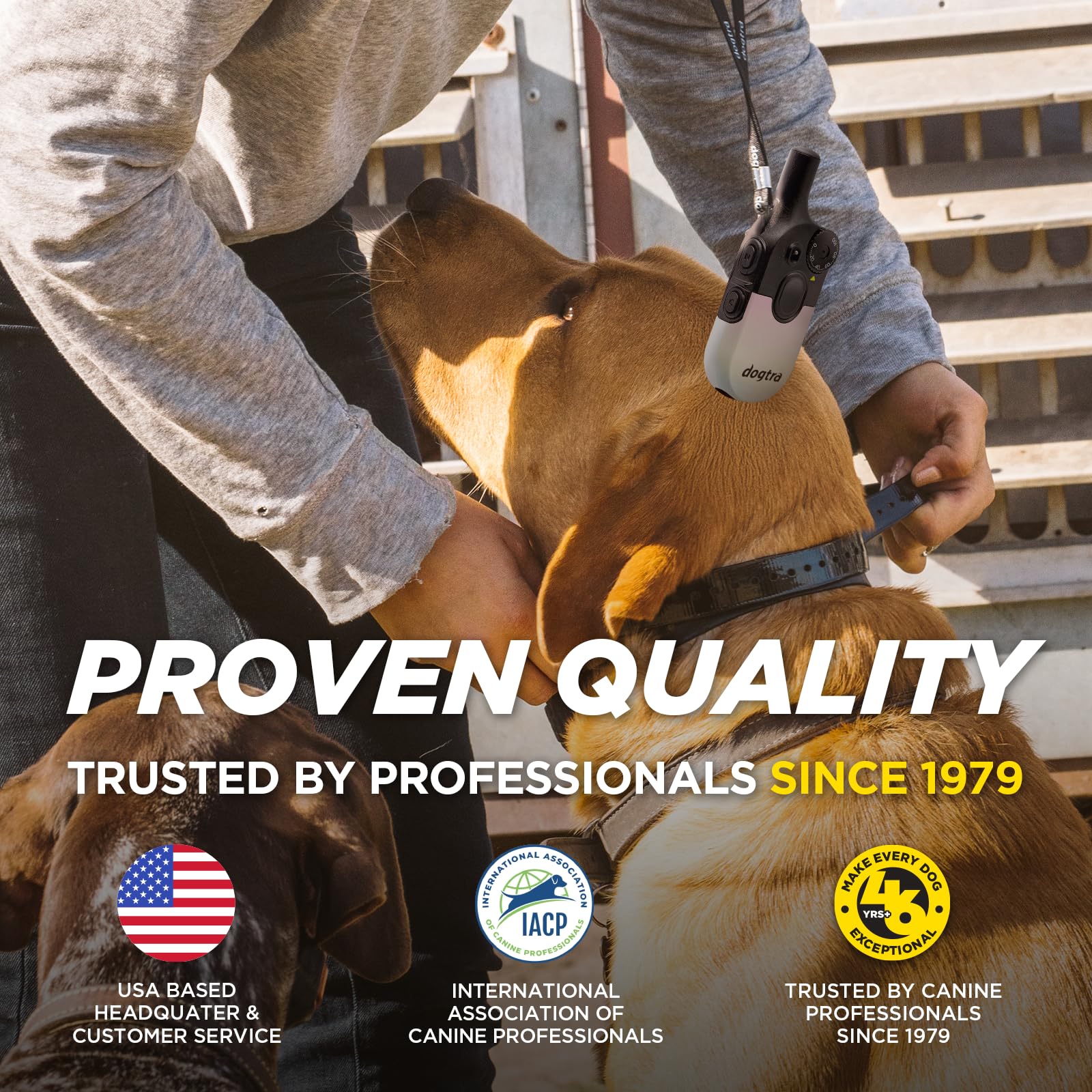 Dogtra 200iQ collier récepteur gros plan pour contact précis et durable