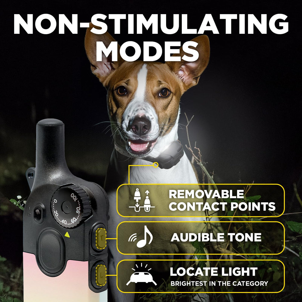 Dogtra 200iQ motif Black Leopard discret et esthétique résistante