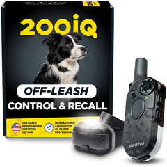 Dogtra 200iQ face avant montrant design compact et contrôle intuitif