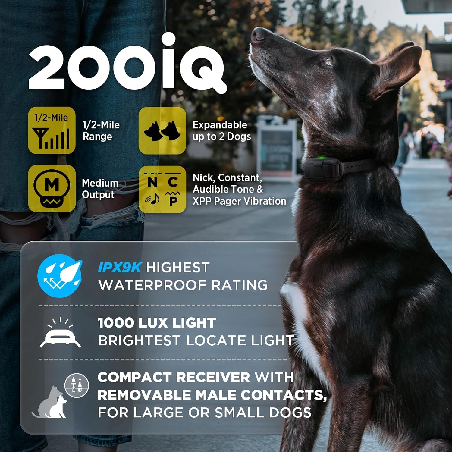 Dogtra 200iQ sous pluie démontrant étanchéité IPX9K pour sorties