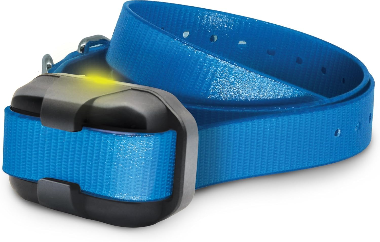 Dogtra sangle bleue fixée au collier pour identification multi-chiens
