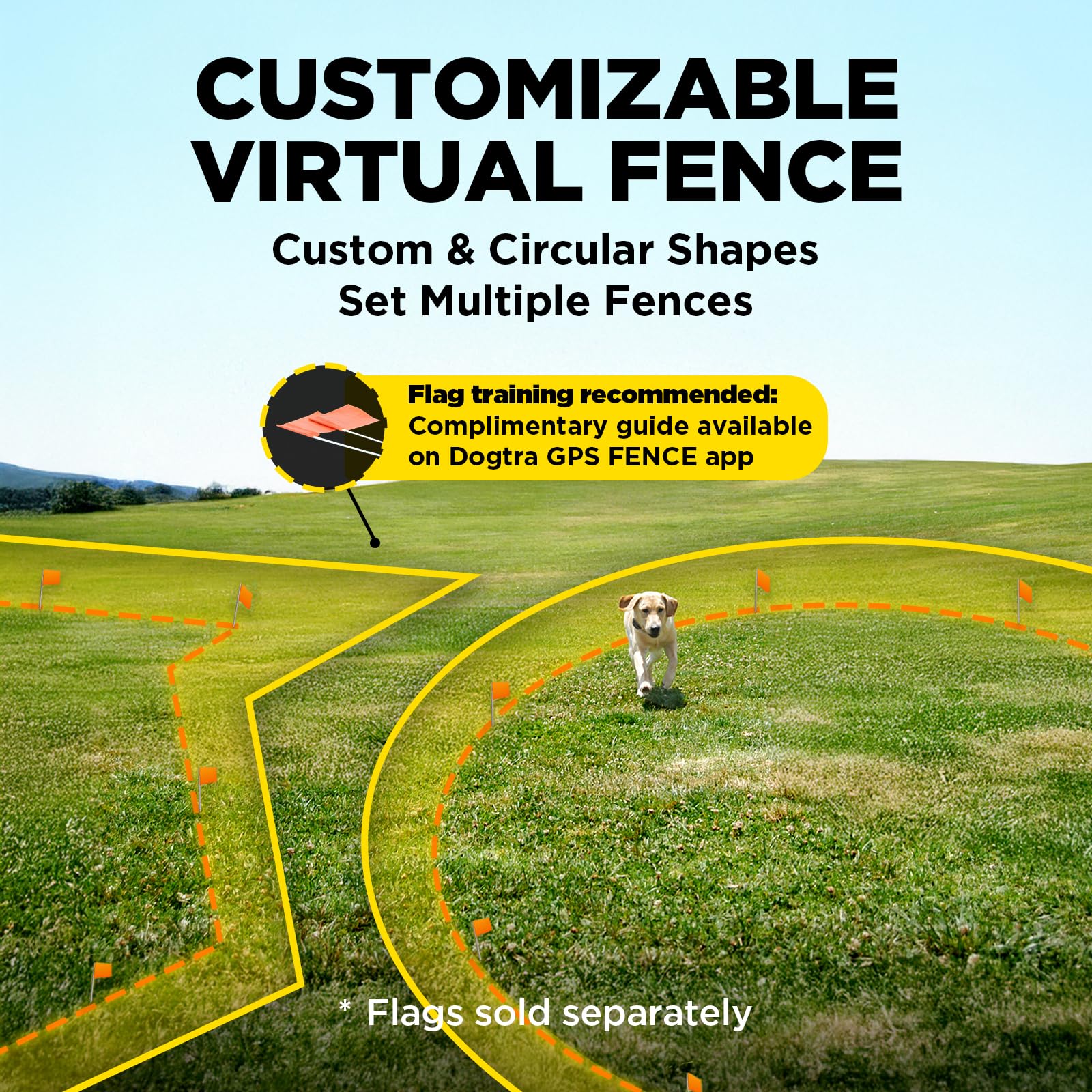 Fanions Dogtra installés dans un jardin illustrant l'entraînement en extérieur