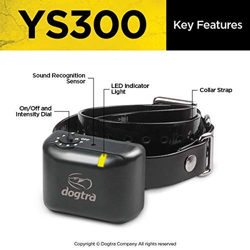 Dogtra YS300 en usage lors d'une promenade, contrôle d'aboiement sécurisé