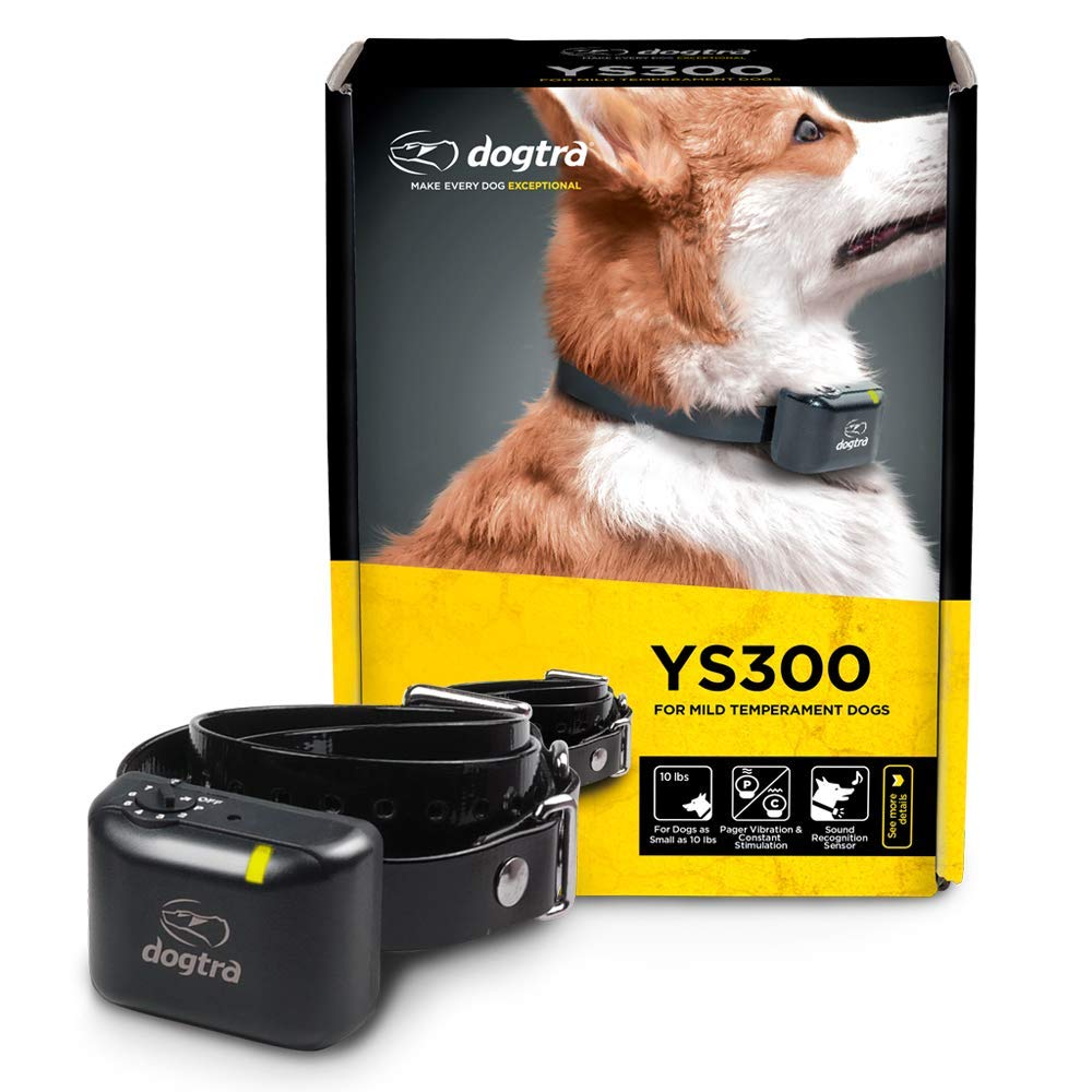 Dogtra YS300 face avant montrant le boîtier compact et facile à ajuster