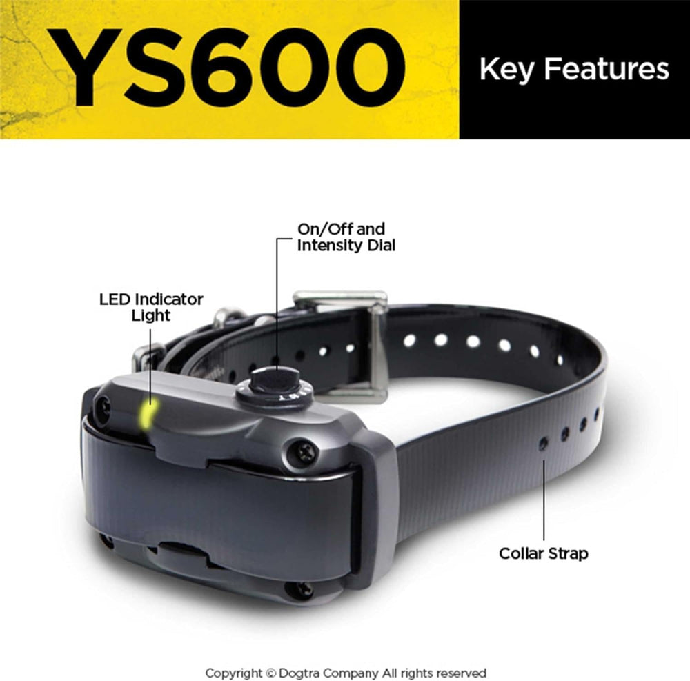Dogtra YS600 collier porté par grand chien confort et maintien stable