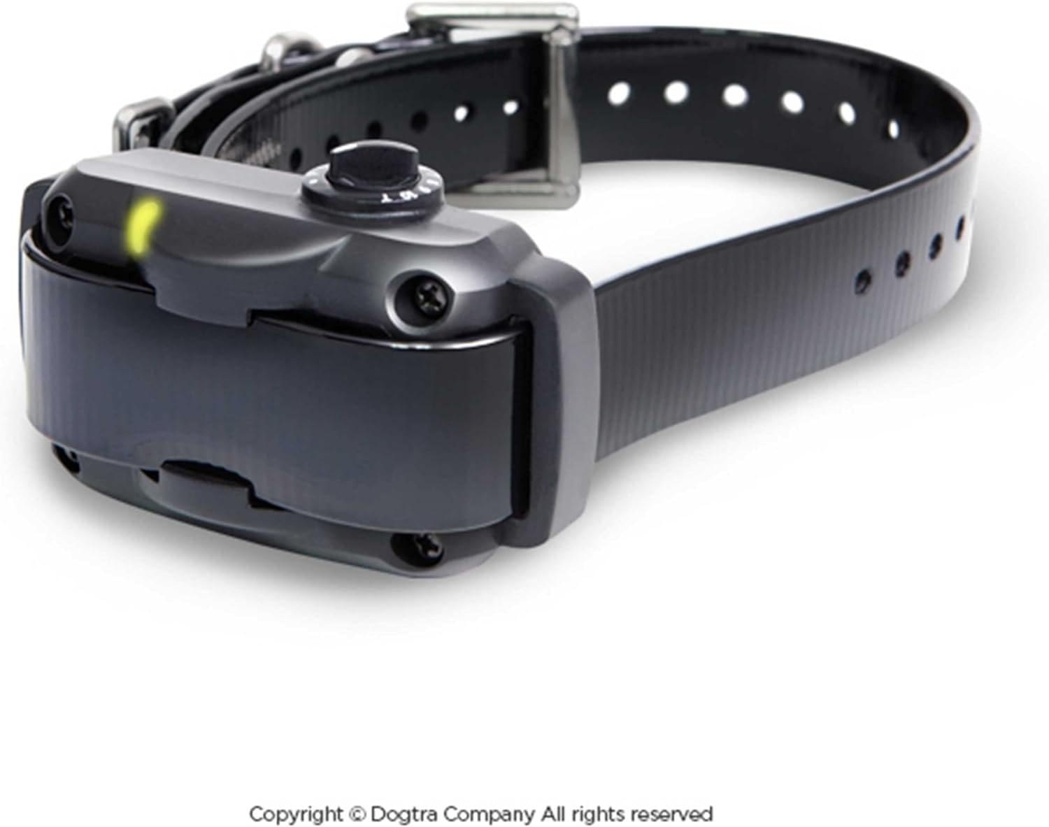 Dogtra YS600 comparaison de taille sur cou canin pour ajustement correct