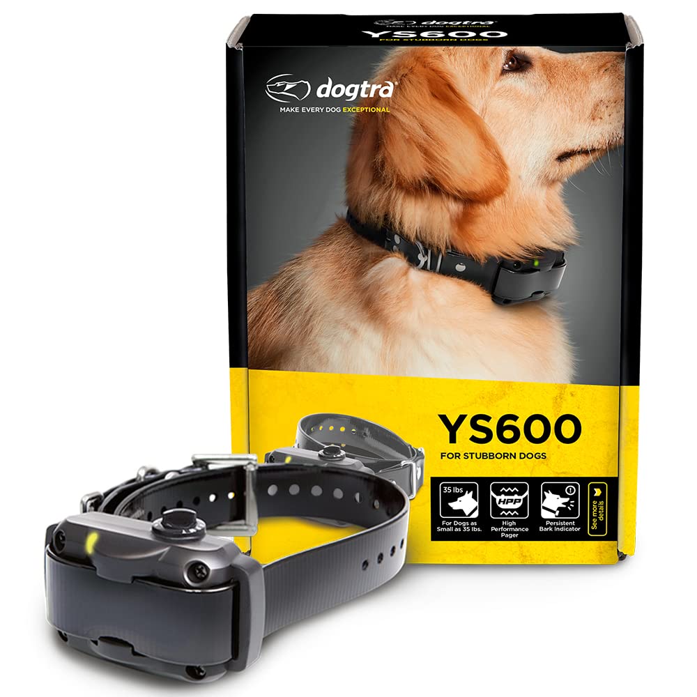 Dogtra YS600 face avant montrant boîtier robuste et boutons, fiable pour contrôle