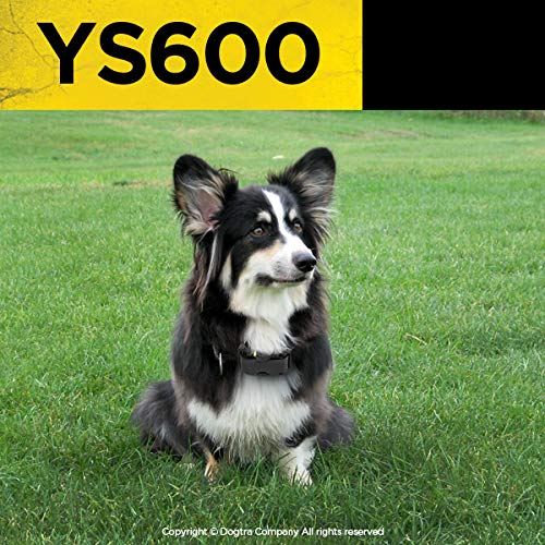Dogtra YS600 illustration du vibreur HPP alertant le chien sans bruit fort