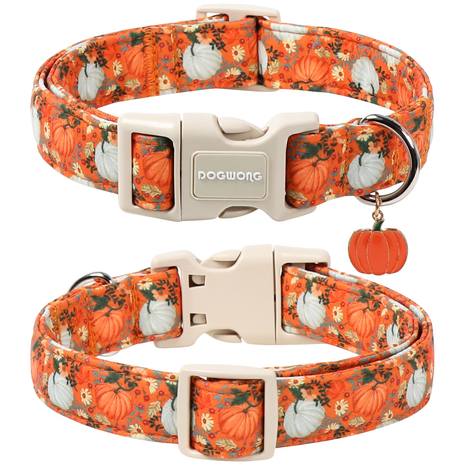 DOGWONG collier détail de la boucle plastique solide pour sécurité accrue