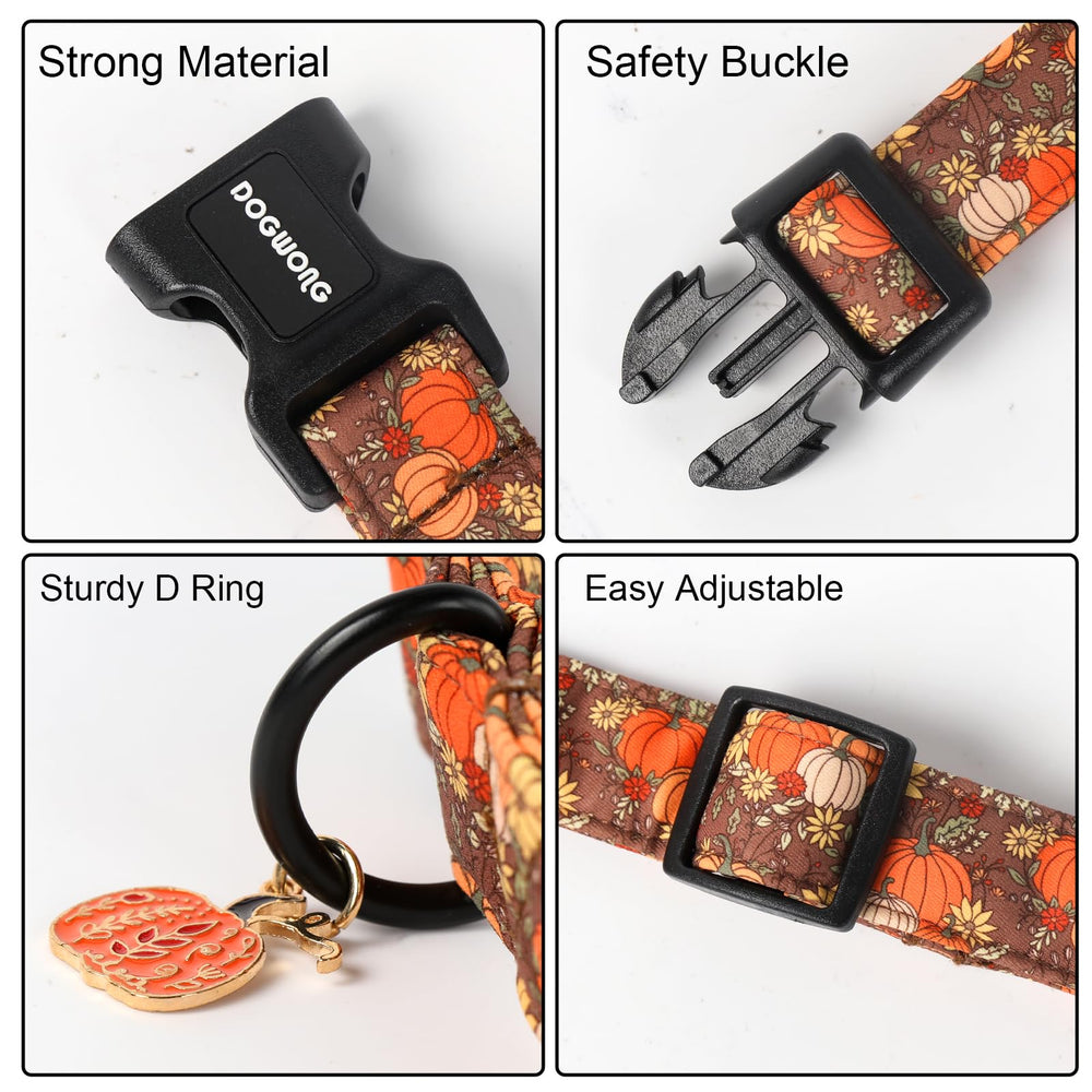 DOGWONG boucle plastique et anneau en D, sécurité et attache pratique