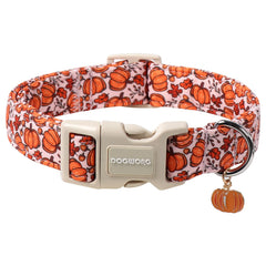 DOGWONG collier citrouille face avant montrant design automnal et confort
