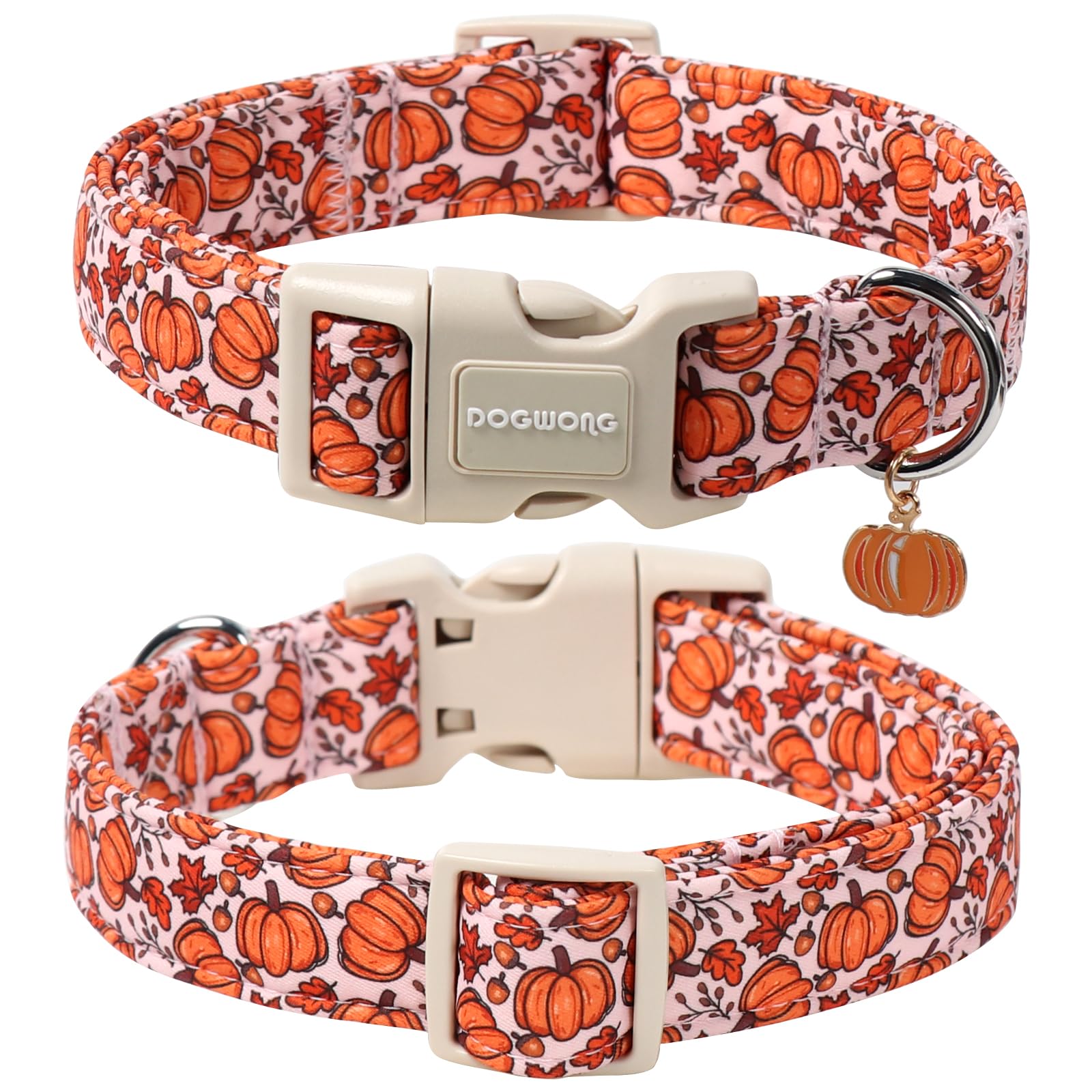 dogwong collier citrouille gros plan boucle et anneau D pour sécurité