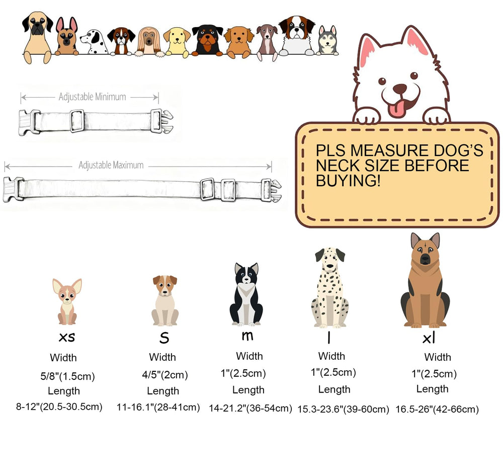 DOGWONG comparaison taille collier avec règle, guide d'ajustement